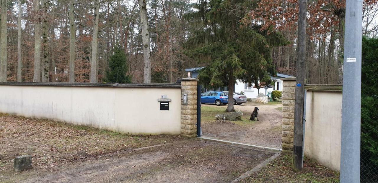 FORET DE FONTAINEBLEAU, chambre entrée privée. Arbonne Extérieur photo